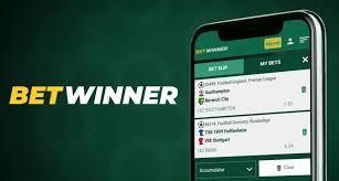 How to Log In to Your BetWinner Account -854613839